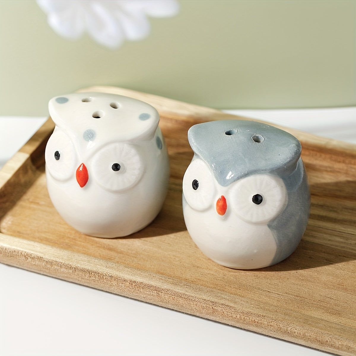 Set of 2 Owl Ceramic Salt and Pepper Shakers for Outdoor Picnics and BBQs