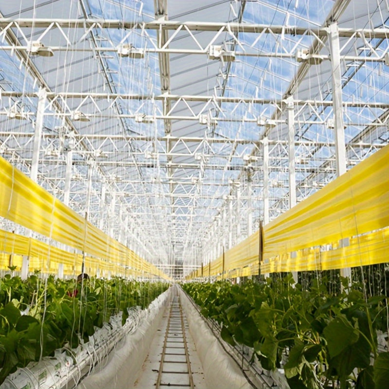 Dual-Sided Insect Fly Catcher Tape Yellow and Blue Waterproof Sunproof Pest Control