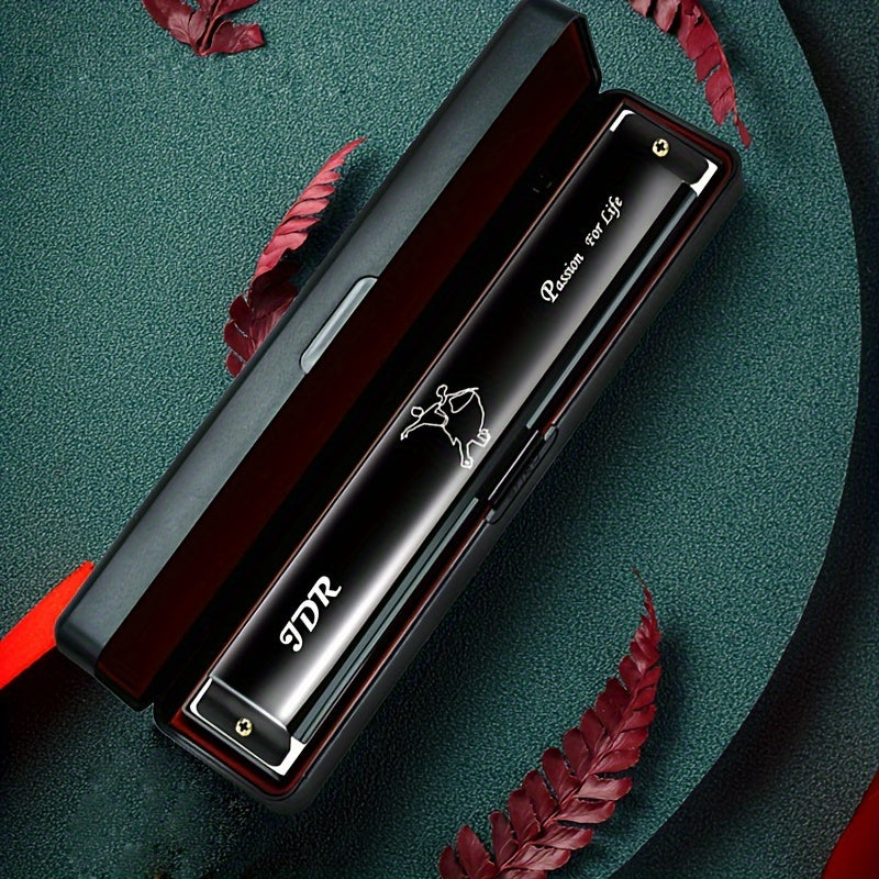 C qora metallik 24 teshikli diatonik harmonika qutisi bilan