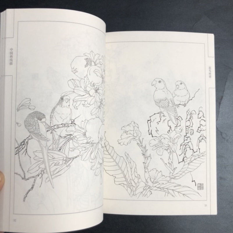 Chinese Flower and Bird Painting Manual with Line Drawings Art Book