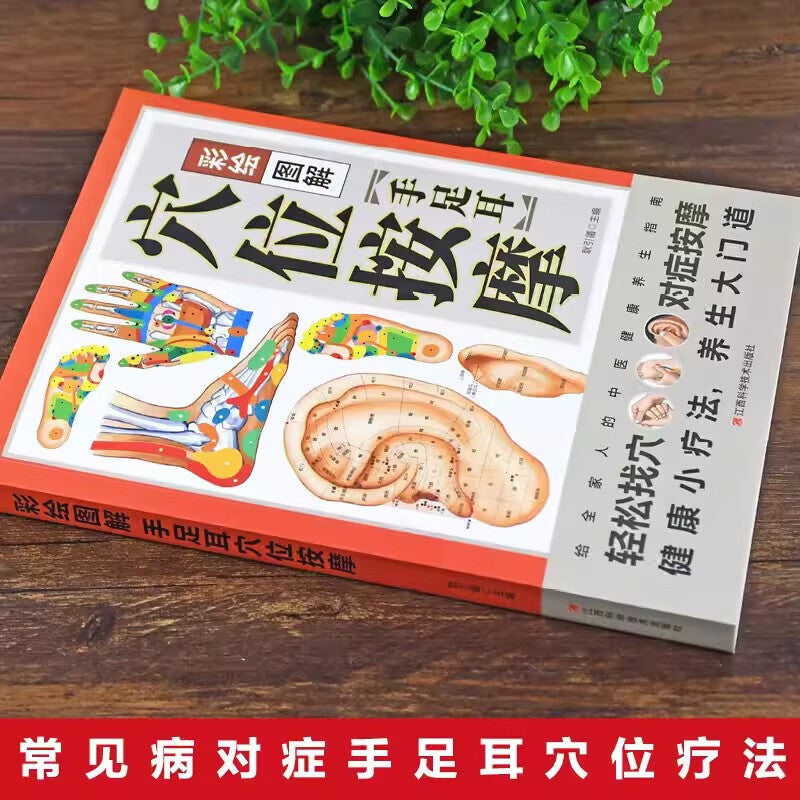 Chinese Acupoint Massage Book with HD Illustrations Simplified Chinese Guide