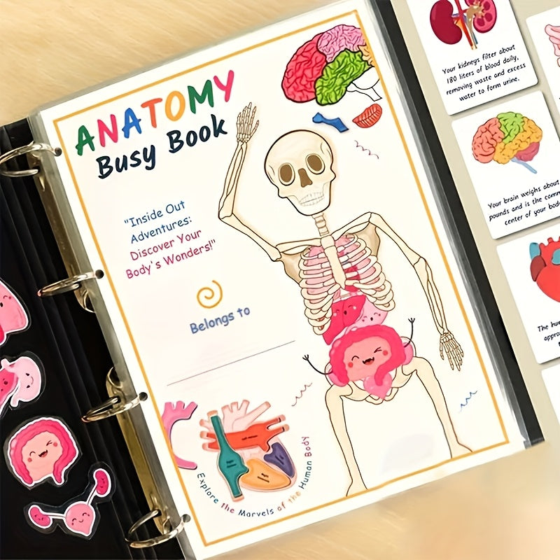 Human Anatomy Busy Book for Kids Interactive Organ Matching Educational Toy Travel Edition