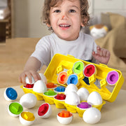 Colorful 12-Piece Egg Shape Matching Puzzle Toy for Preschoolers Educational Fine Motor Skills