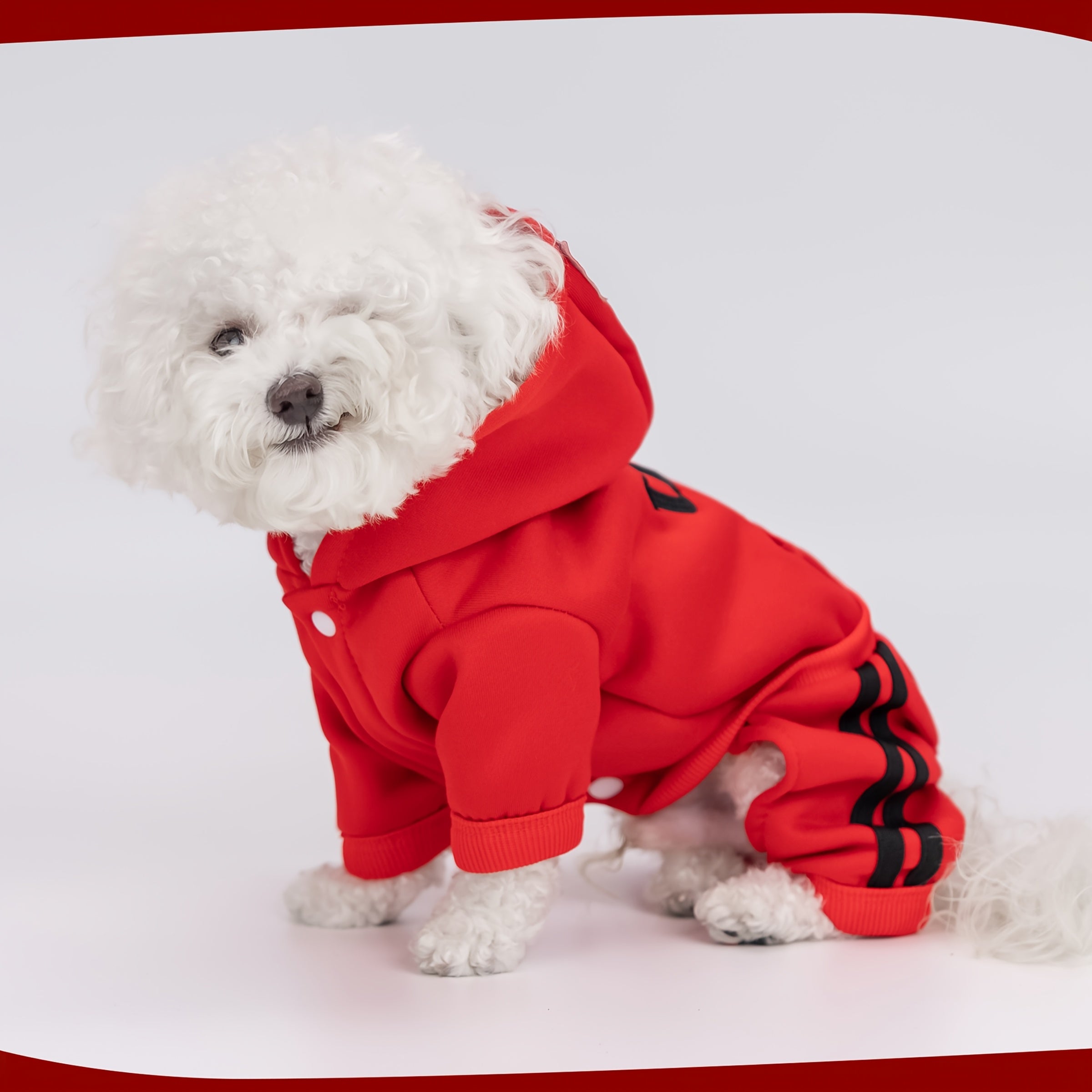 Winter Dog Hoodie with Pockets and Embroidery for Small to Medium Dogs
