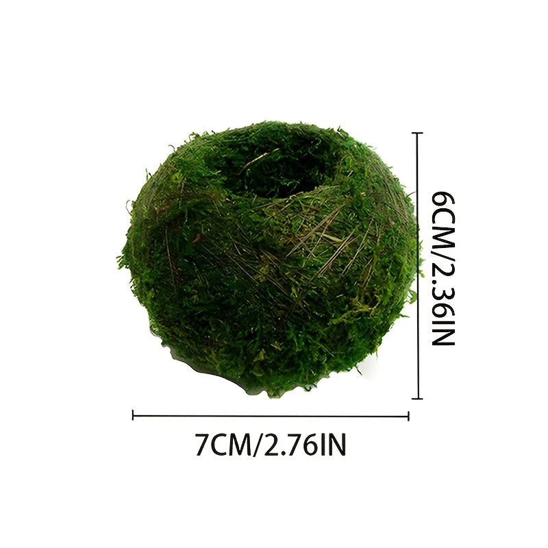 Round Clay Moss Plant Container for Air Plants Succulents Indoor Outdoor