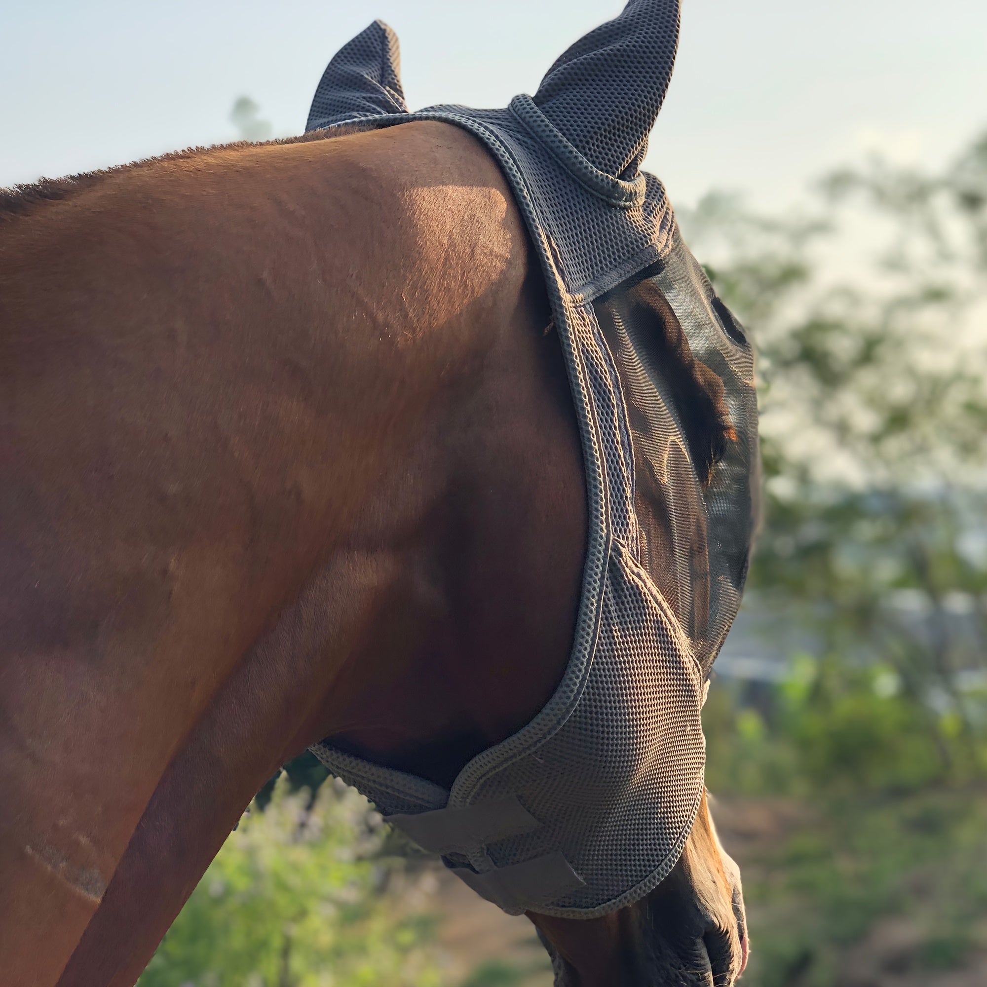 Horse Mask with 86% UV Protection Breathable 3D Mesh High Elasticity