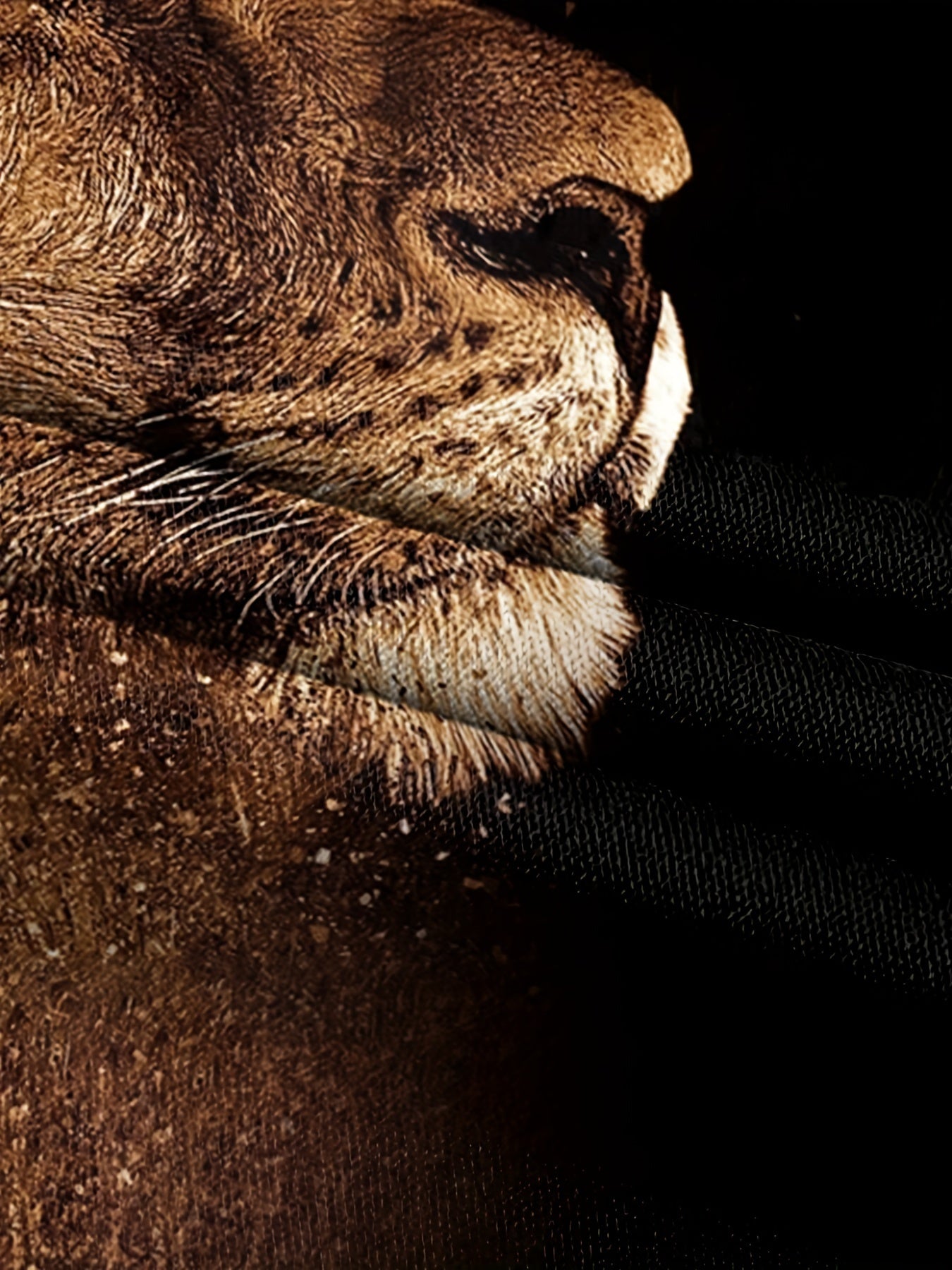 Men's Long Sleeve Shirt with Lion Star Pattern Polyester Spandex Casual