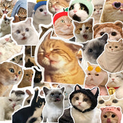 100 қўзғолон мураккаб мурувватли қўлёзмалар, ялтирайдиган, ўз-ўзини қўллаш учун, багаж, ноутбук, гитара, сув идиши учун