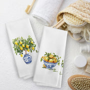 Cartoon Lemon and Blue White Vase Kitchen Towels Set of 2 Super Soft Polyester Dish Cloths