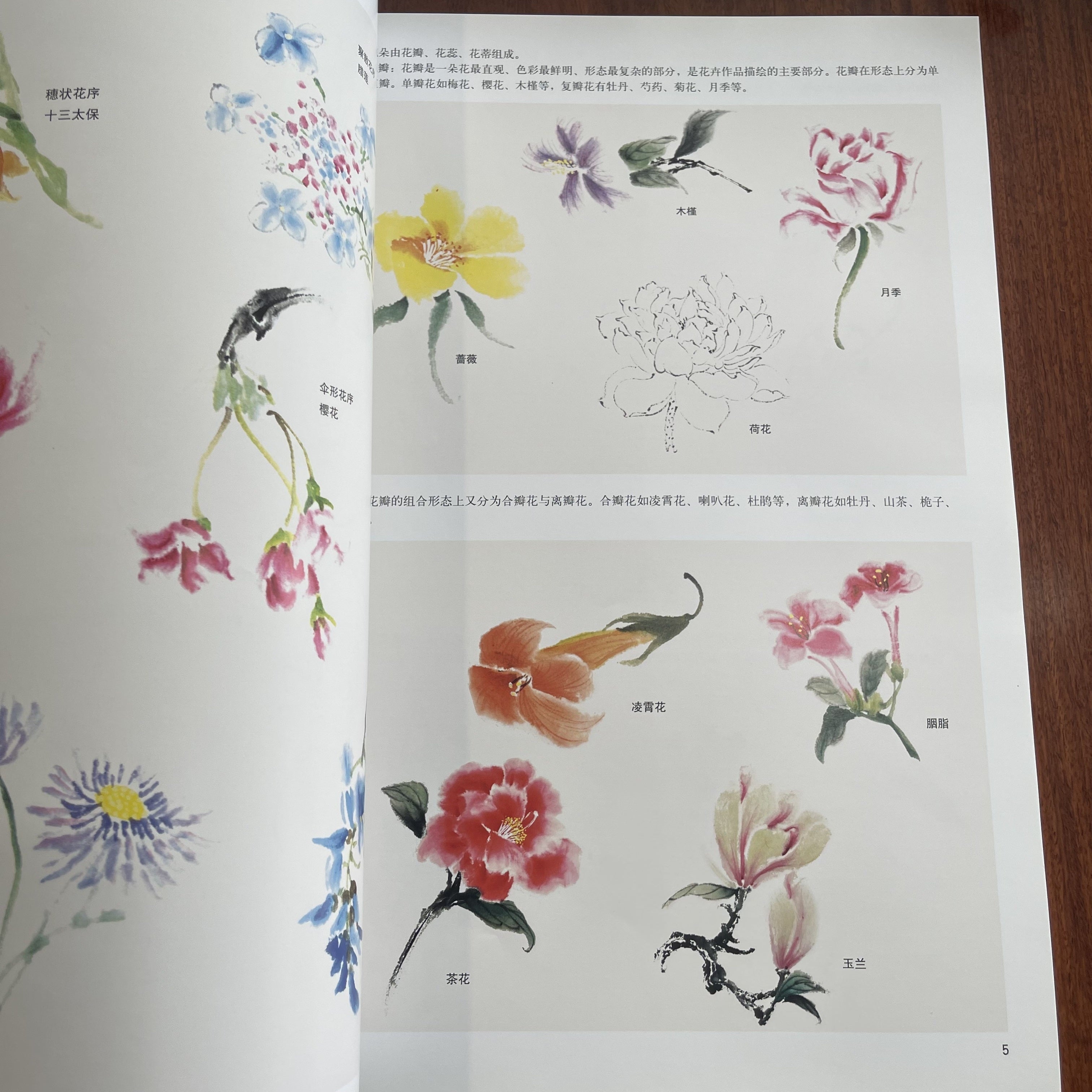Traditional Chinese Flower Painting Techniques Art Book Paperback Simplified Chinese Edition for All Ages