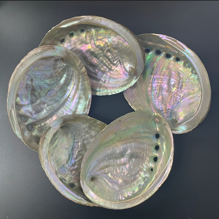 Large Abalone Shell Bowl for Smudging 9.65-11.94 cm