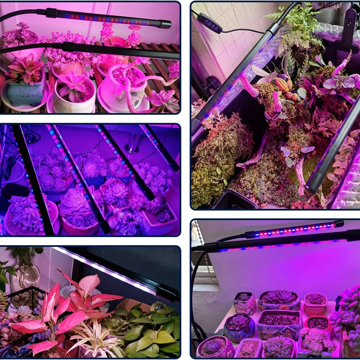 Red and Blue LED Plant Grow Light with USB, Adjustable 1-5 Heads for Indoor Plants and Greenhouse