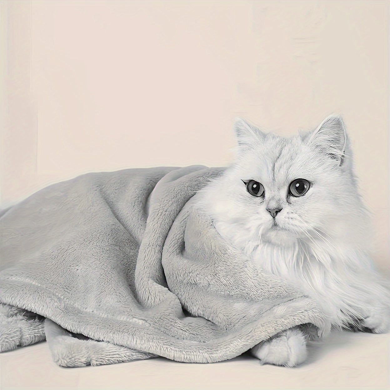 Fleece Blanket for Couch Solid Color 300GSM Soft Fuzzy Cozy All Seasons