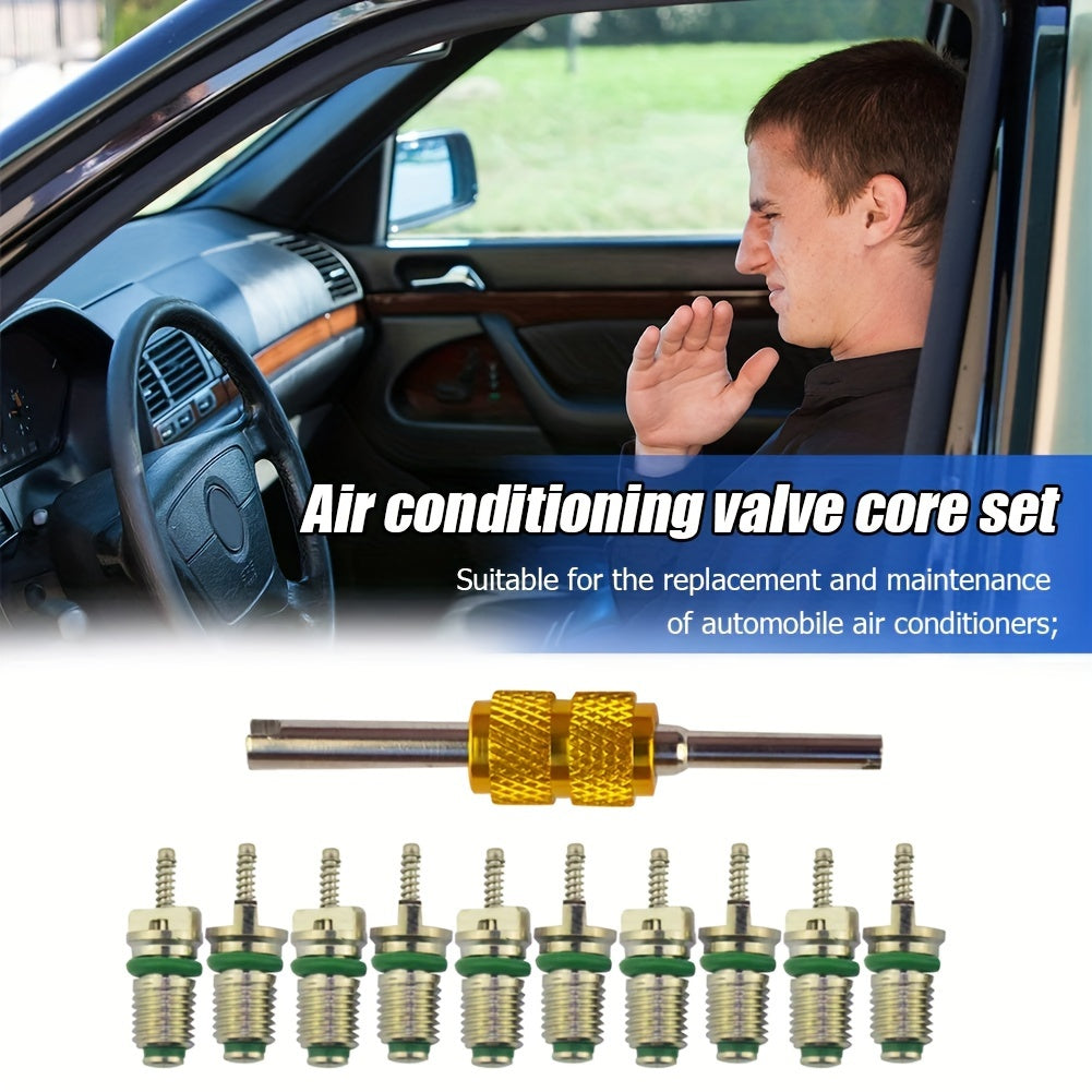 Automotive Air Conditioner Maintenance Kit with 10 Brass Green Valve Cores