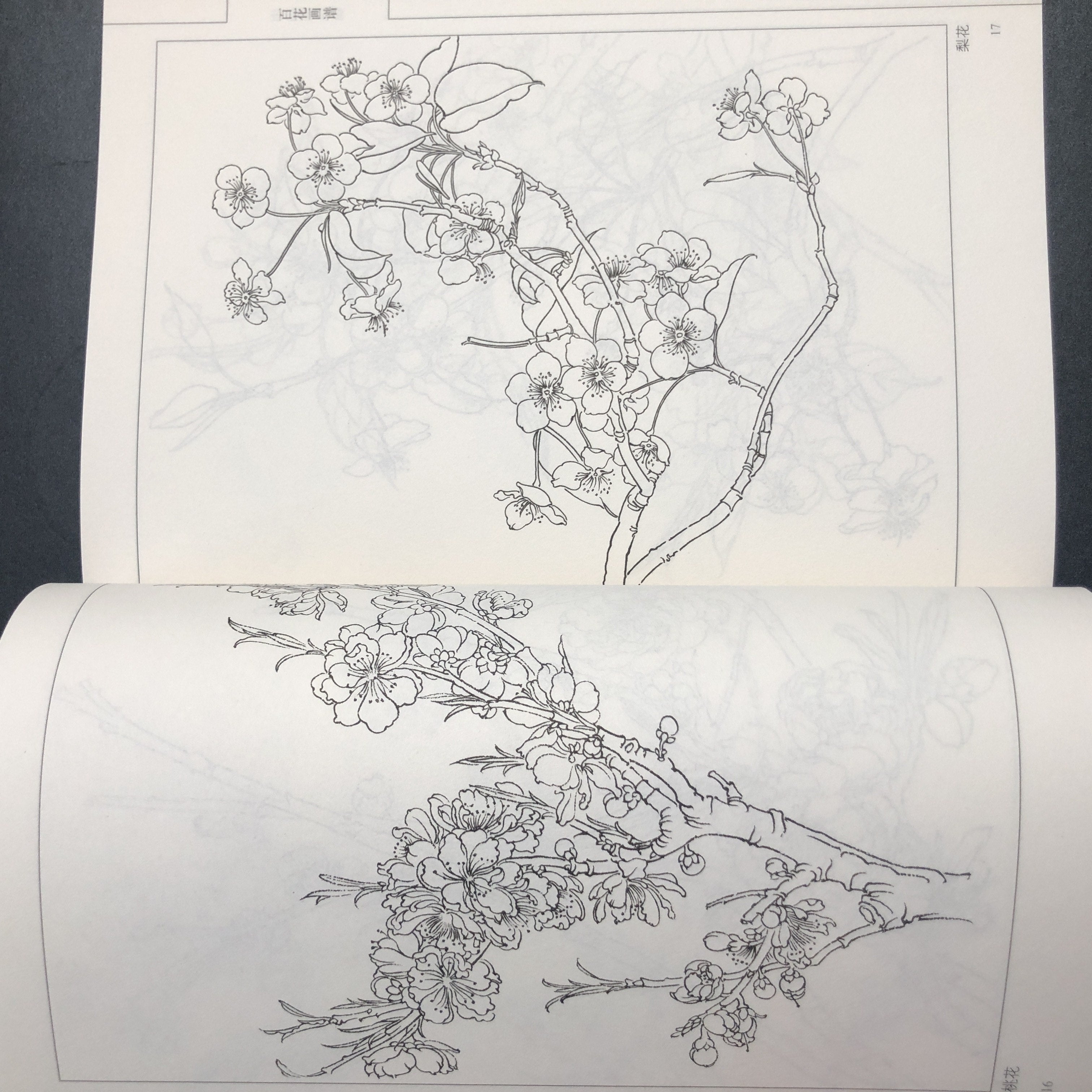 An'anaviy Xitoy Siyoh Gul Rassomi Qo'llanmasi. Xitoy Versiyasi.