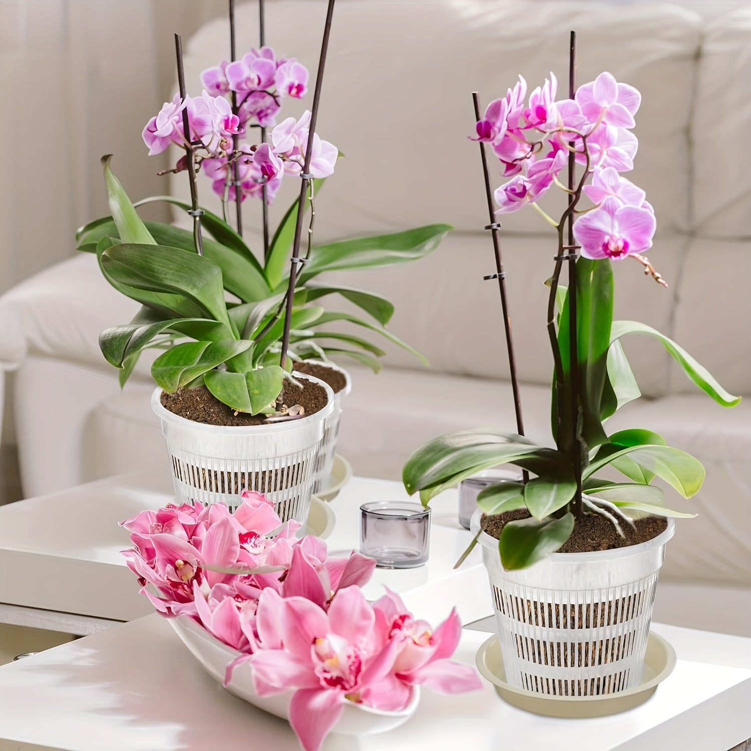4 dona shaffof plastmassa orkide idishlari 16cm 19cm drenaj teshiklari bilan ichki va tashqi foydalanish uchun