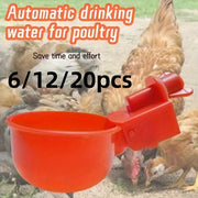 Poultry Waterer Dispenser for Chickens Quails Pigeons Automatic Plastic No Electricity