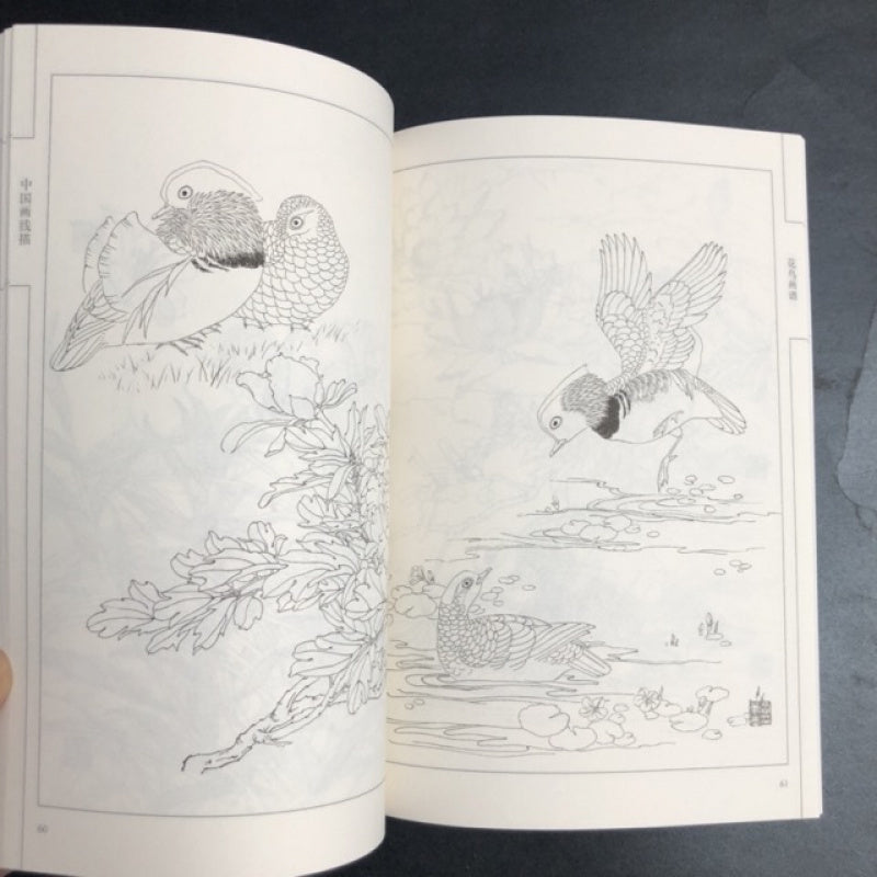 Chinese Flower and Bird Painting Manual with Line Drawings Art Book