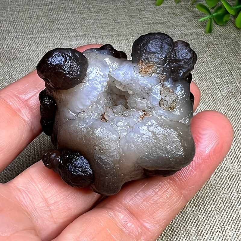 Natural Pictographic Agate Geode with Quartz Crystal Stone