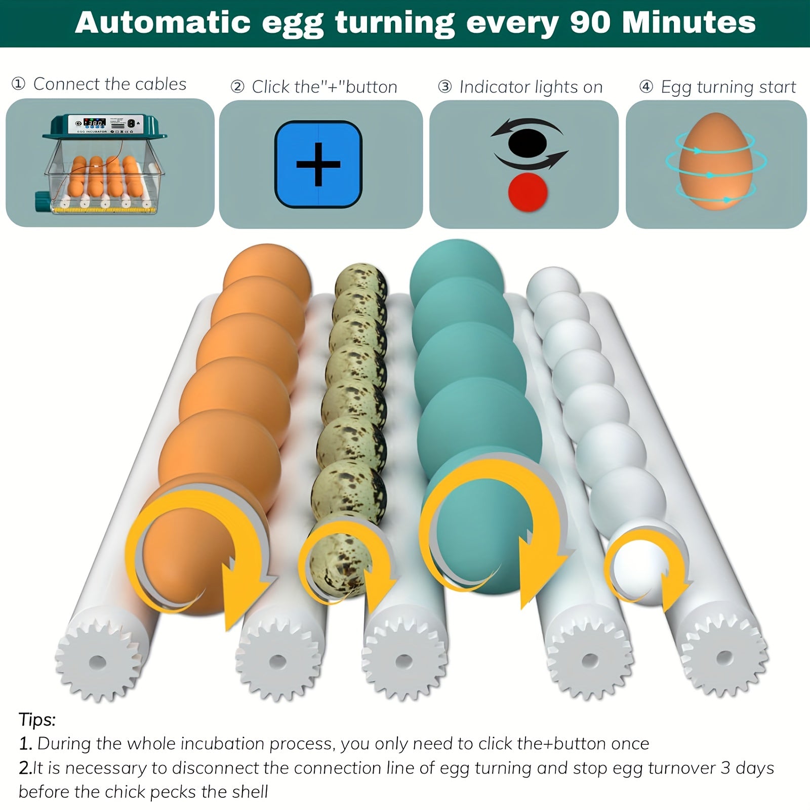 Avtomatik tuxum inkubatorlari 12-16 tuxumni saqlaydi, avtomatik aylantirish, suv to'ldirish, LED displey, ichki foydalanish uchun