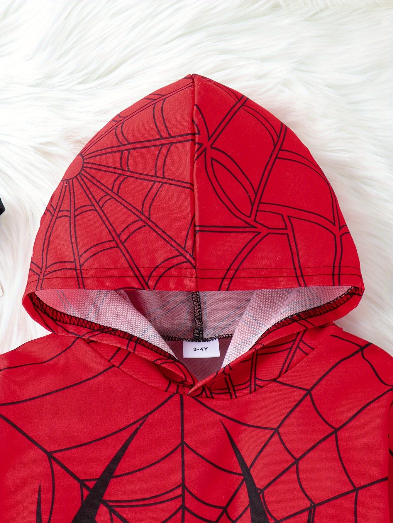 Boy's Spider Print Hooded Outfit Set Web Pattern Spring Fall 2pcs