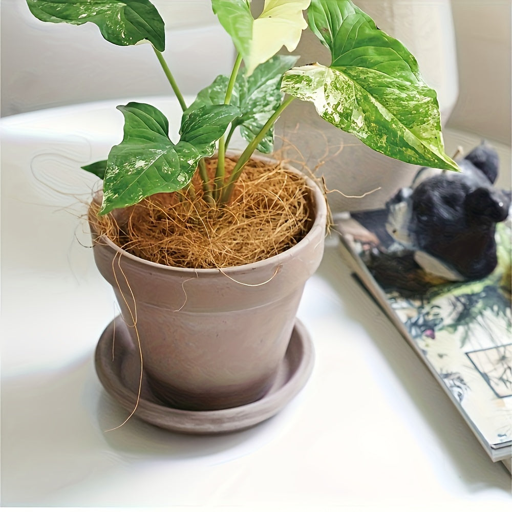 100g Natural Coconut Fiber for Bird Nests DIY Crafts Green Plants