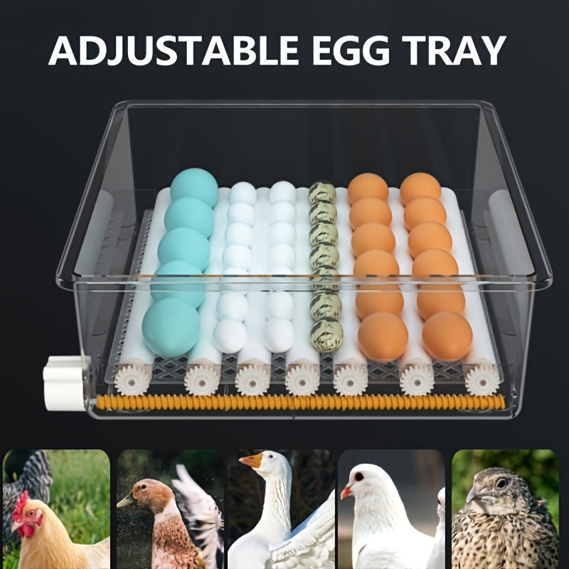 Автоматик айланиш ва ҳароратни назорат қилиш функциясига эга 64 тухумга мўлжалланган рақамли тухум инкубатор