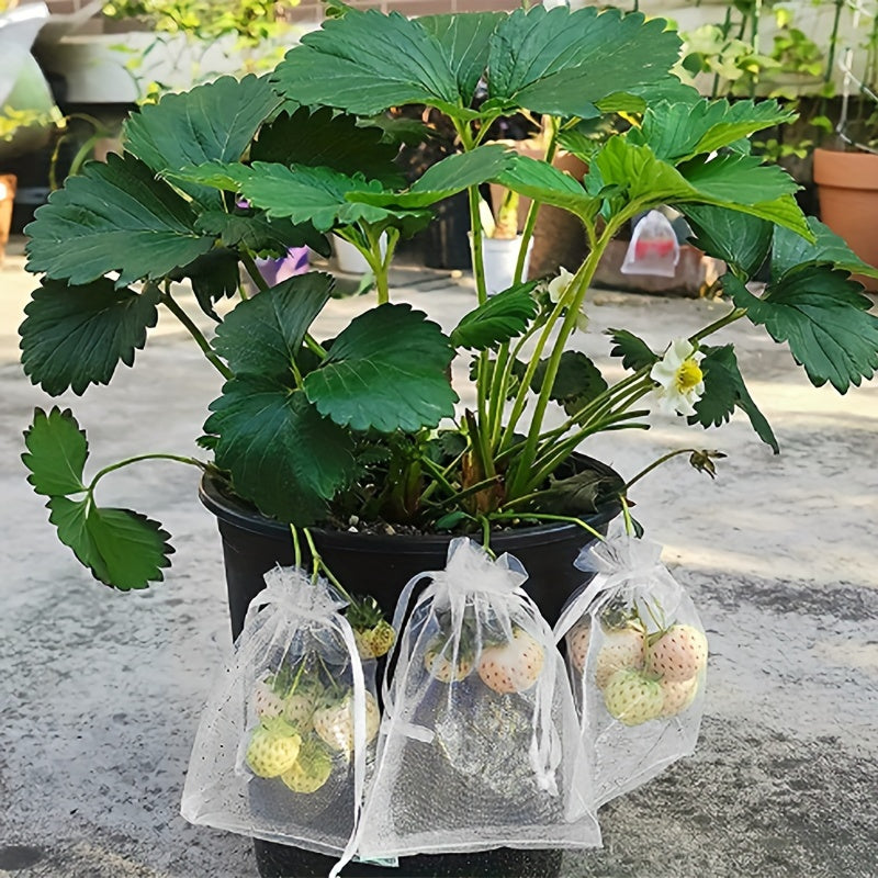 Insect-Proof Fruit and Vegetable Bags Pack of 20 or 50 with Drawstring Closure