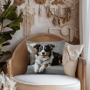 Australian Shepherd Throw Pillow Cover Square Cushion Case Removable Washable 45cm