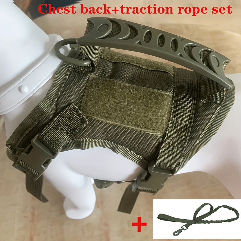 Adjustable Polyester Cat Harness Set with Leash for Walking