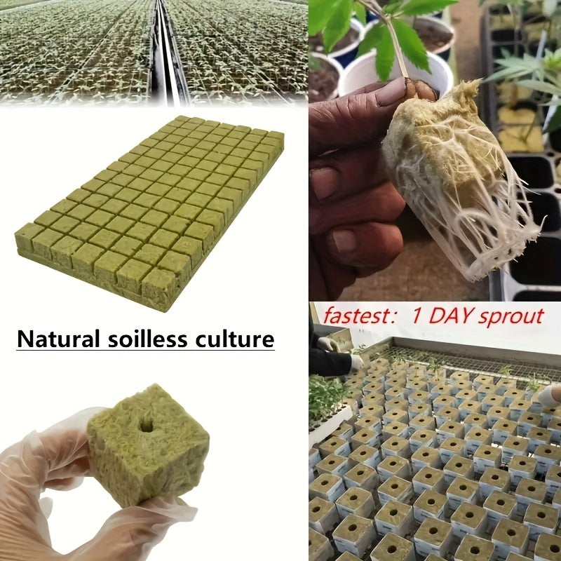 Mini Compressed Hydroponic Rock Cubes for Seed Germination and Plant Growth