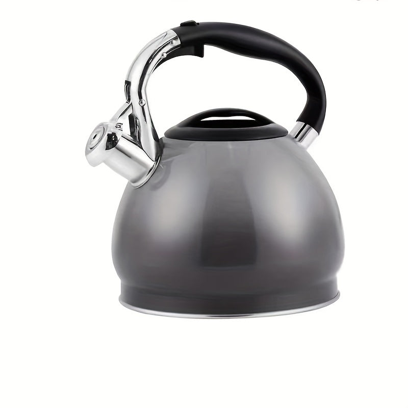 Stainless Steel Whistling Tea Kettle Gradient Design for Gas and Induction Stoves