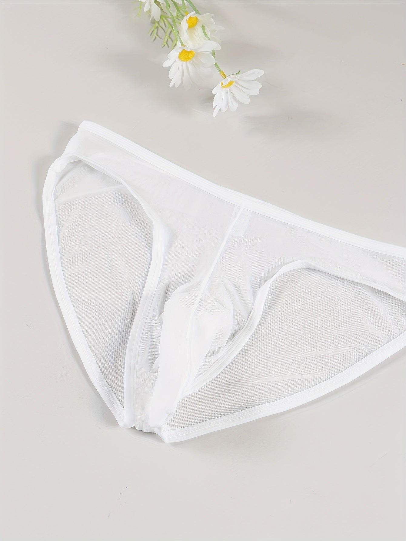 Men's Solid Color Nylon Elastane Thongs Semi-Sheer with Wooden Hanger