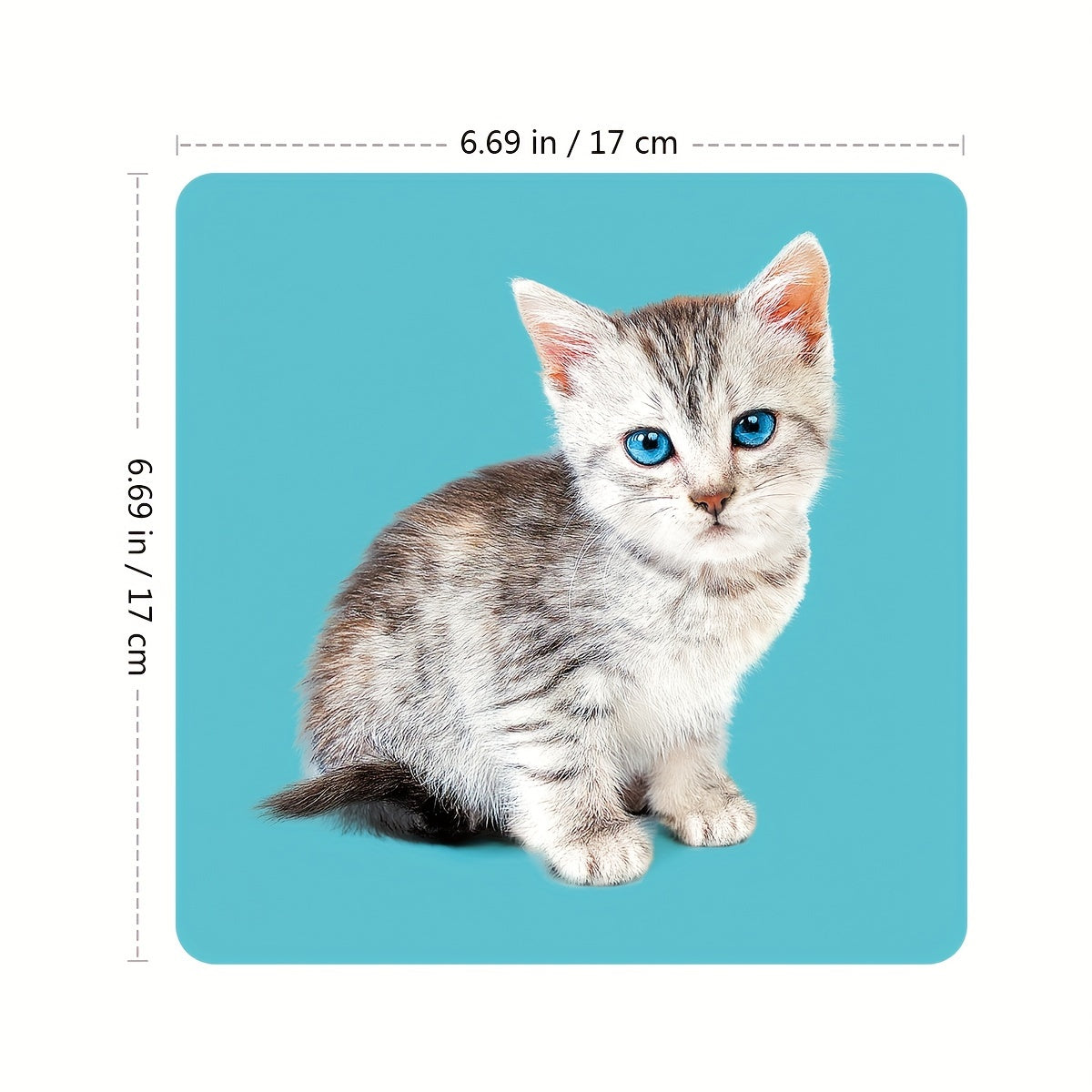 Educational Animal Flashcards for Toddlers 2-10 Double-Sided 24 Pictures