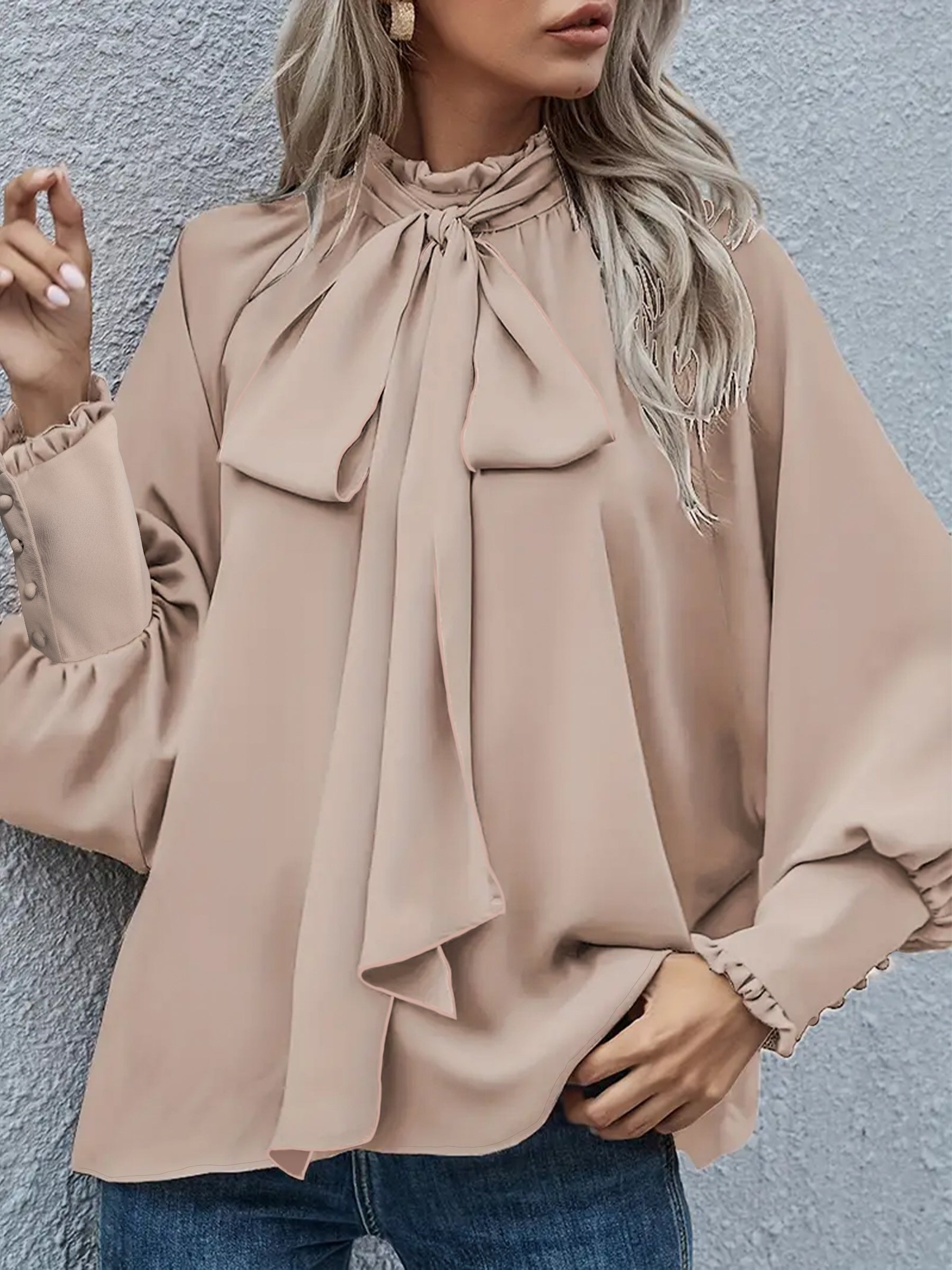 Women's Plus Size Tie Neck Blouse Long Sleeve Spring Fall Solid Color