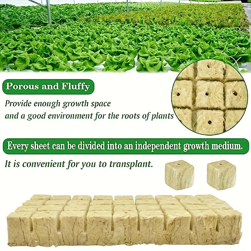 Mini Compressed Hydroponic Rock Cubes for Seed Germination and Plant Growth