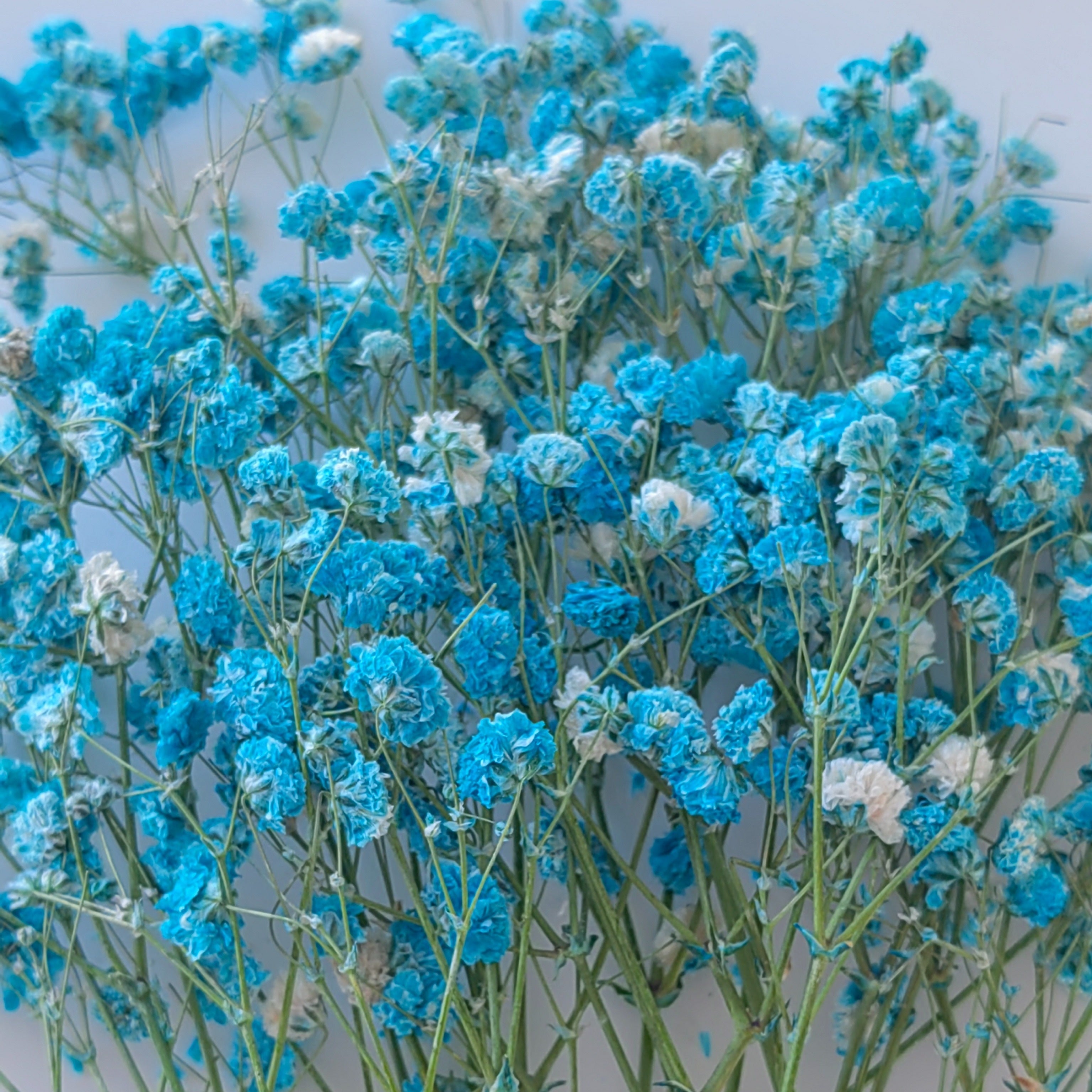 Коробка из 30 сохранившихся цветов для DIY-проектов, включая рамку для фотографий, плавающие цветочные материалы, свечи и тисненые цветы.