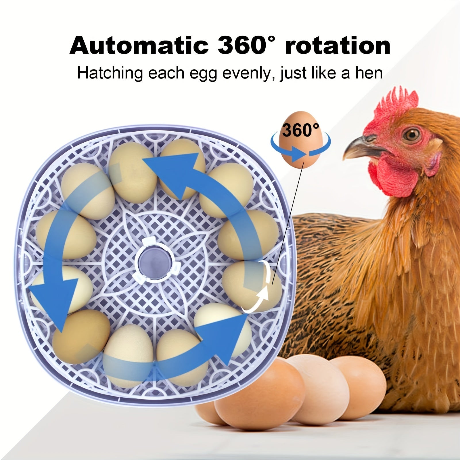12-Egg Incubator with Automatic Turning Temperature Control for Bird Eggs Laboratory Use 220V