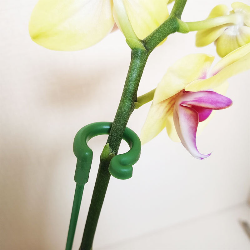 Set of 12 Plastic and Glass Fiber Plant Support Rods for Indoor and Outdoor Potted Plants