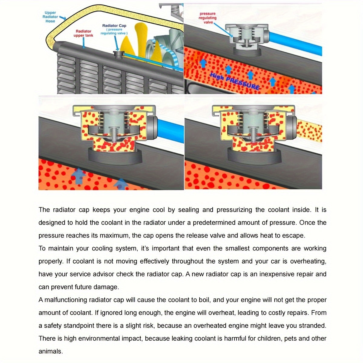 Universal 0.9 Bar Radiator Cap for Car Cooling System High Pressure Expansion Tank Cover