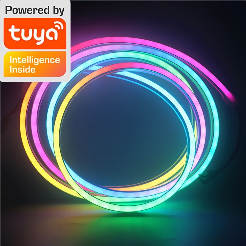 RGBIC Neon LED Strip Lights 1M-10M Wi-Fi Music Sync Voice Control Space Theme