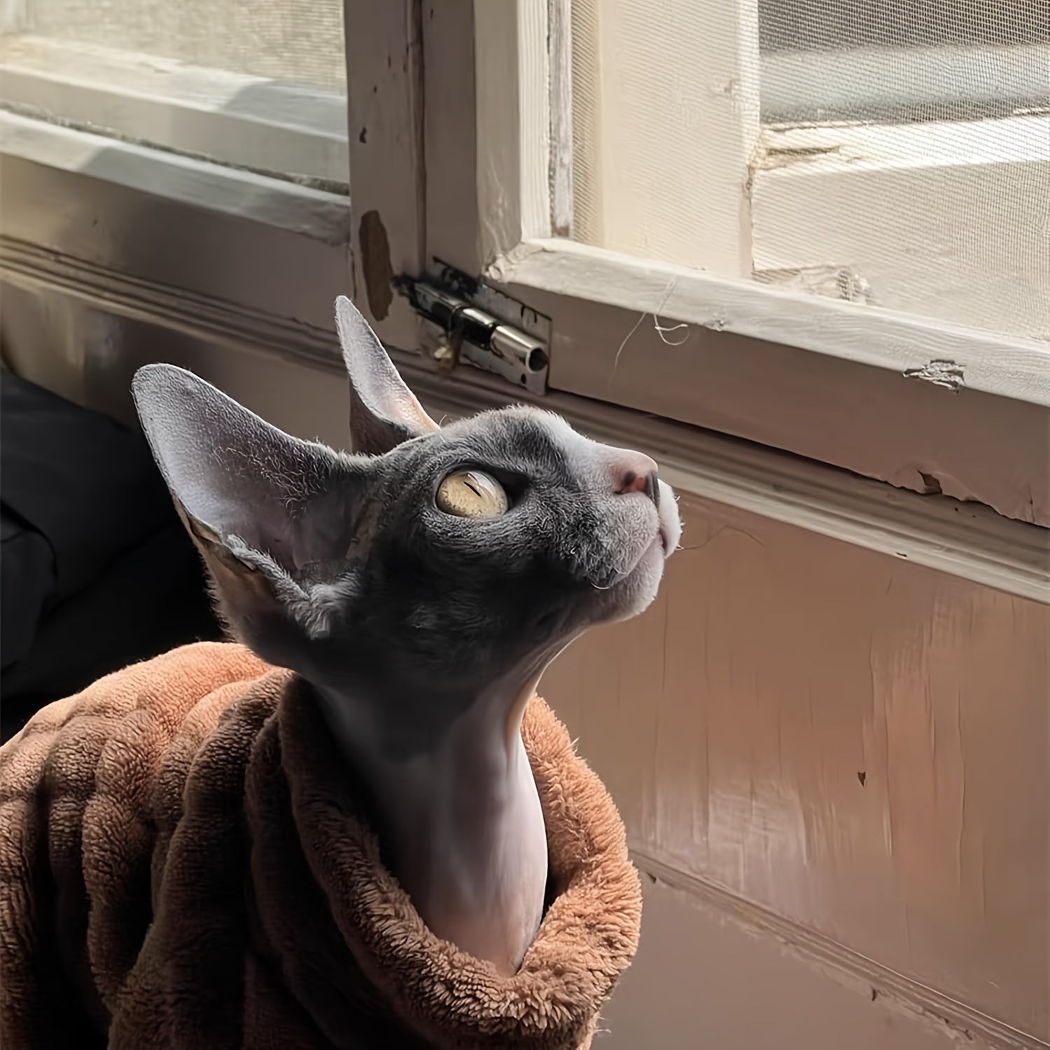 Sphynx Cat Turtleneck Sweater Soft Coral Fleece All-Season Knit Pullover