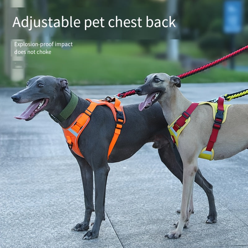 Katta zotlar uchun mustahkam, sozlanadigan taktik it yelkası, oson boshqarish tutqichi va sozlanadigan tasmalari bilan, bir nechta ranglarda mavjud.