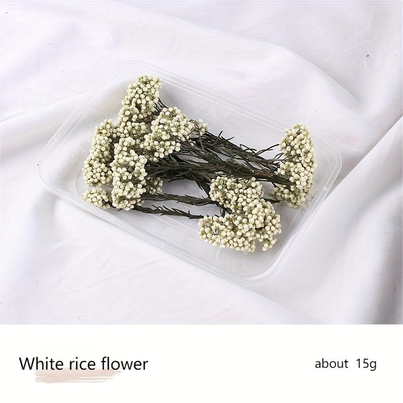 Бохо-Шик Рождественский Набор для Ремесел: Натуральный Растительный Декор для DIY Проектов, Венков и Подарков