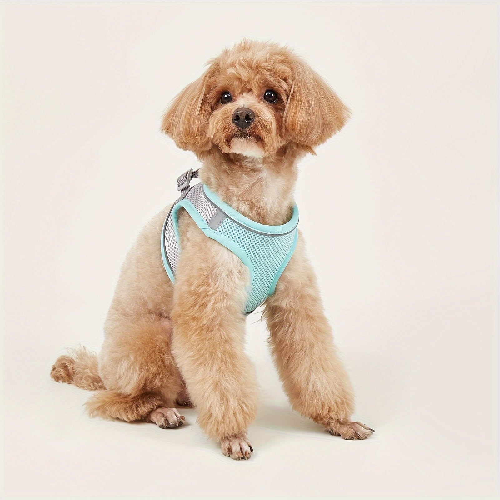 Soft Mesh Pet Harness for Small Dogs and Cats with Reflective Strip