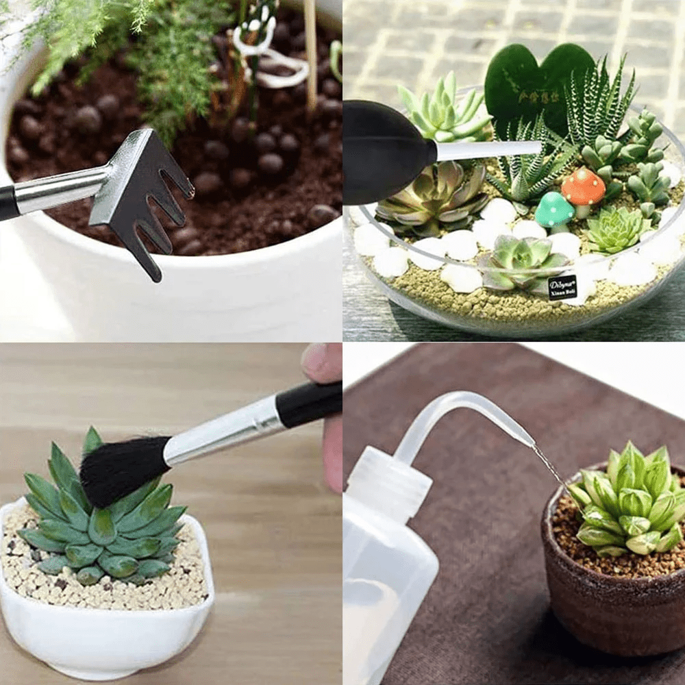 Mini Garden Tool Set for Succulents and Bonsai Stainless Steel Handles Trowel Shovel Spray Bottle