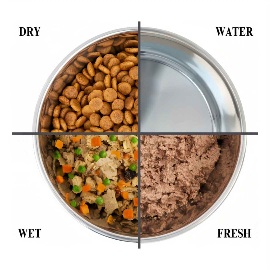 Ceramic Elevated Cat Bowl with Anti-Slip Iron Stand for Comfortable Eating