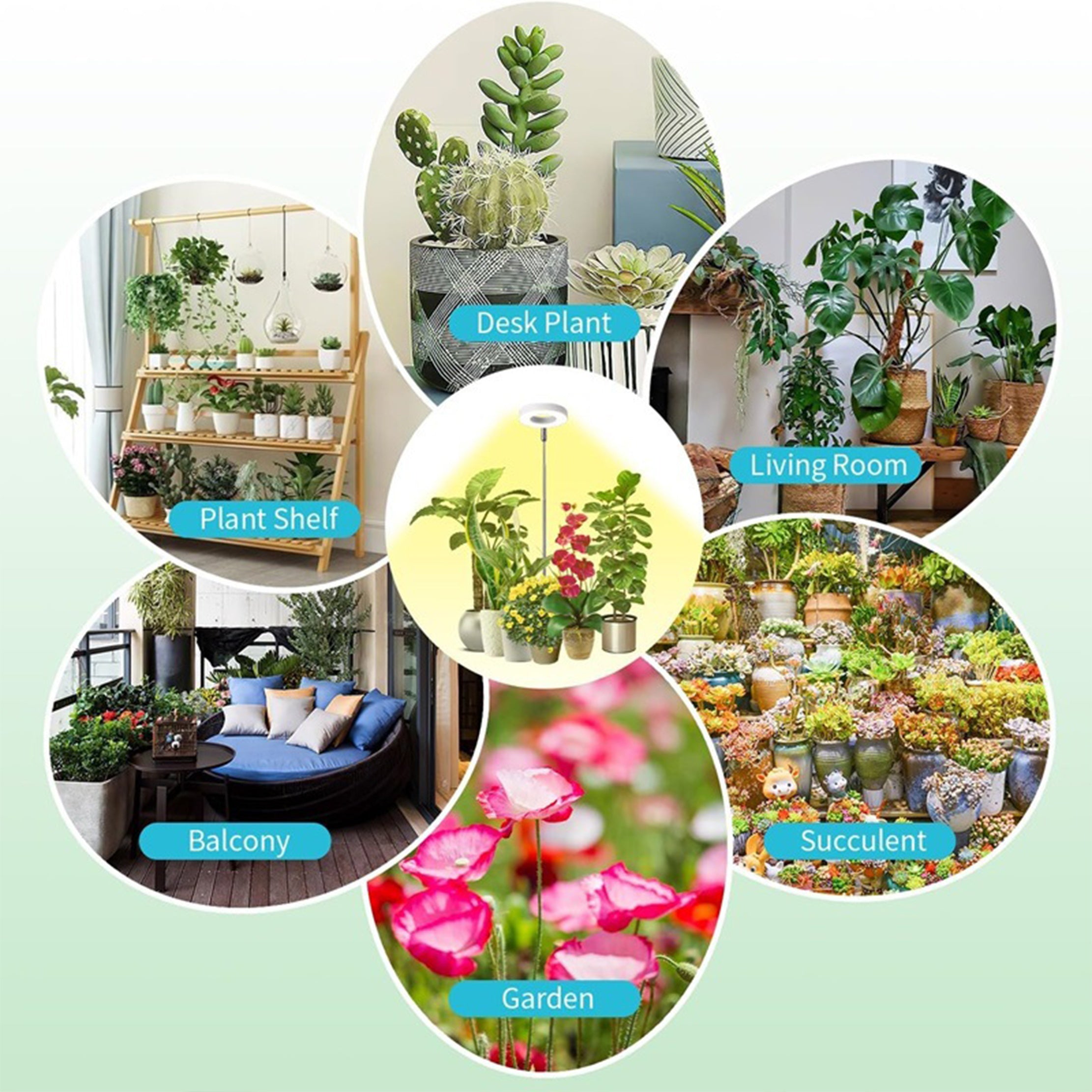 Adjustable Full Spectrum LED Plant Grow Light with Timer and USB Power for Indoor Plants