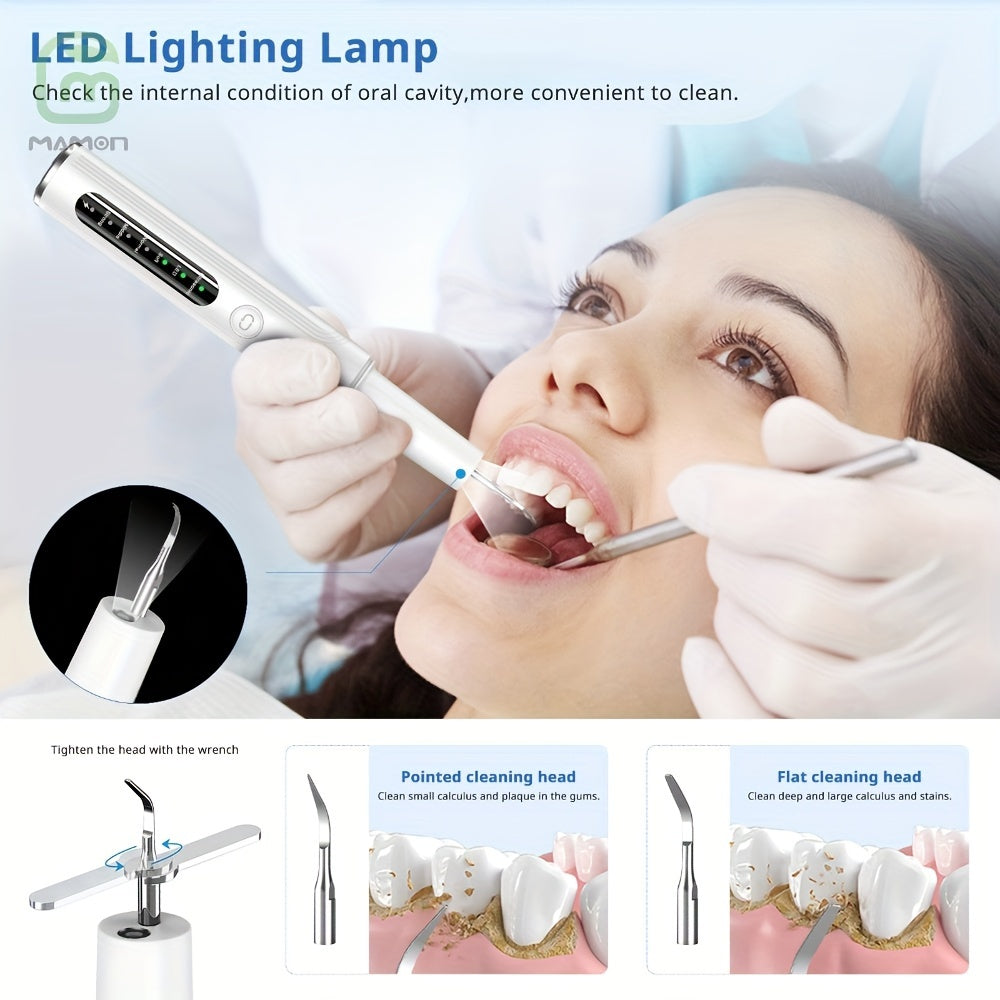 Teeth Cleaning Kit Rechargeable Plaque Tartar Remover with LED Light Stainless Steel Tools 4 Heads