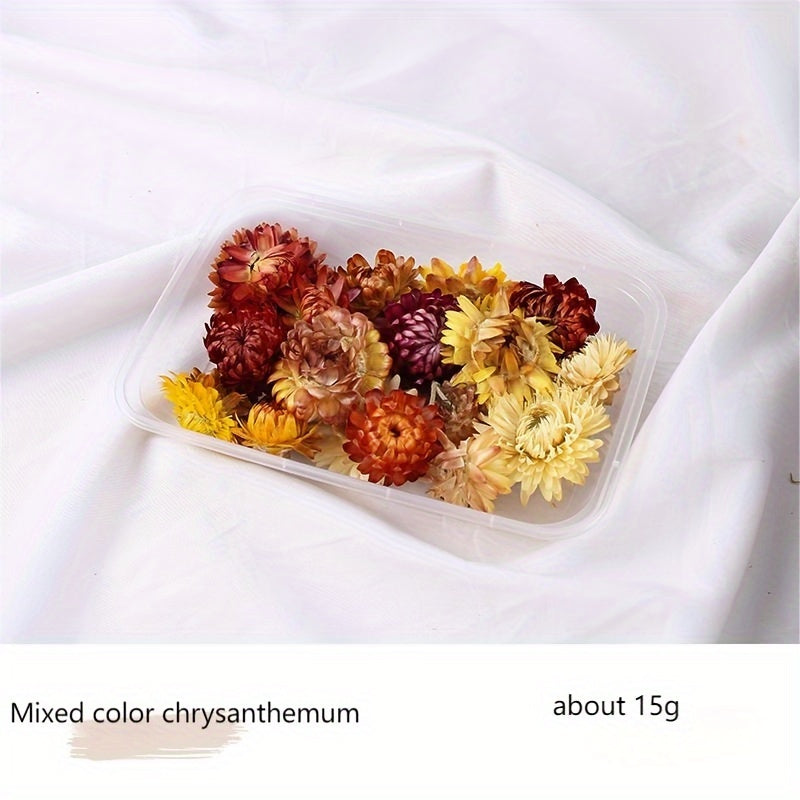 Бохо-Шик Рождественский Набор для Ремесел: Натуральный Растительный Декор для DIY Проектов, Венков и Подарков